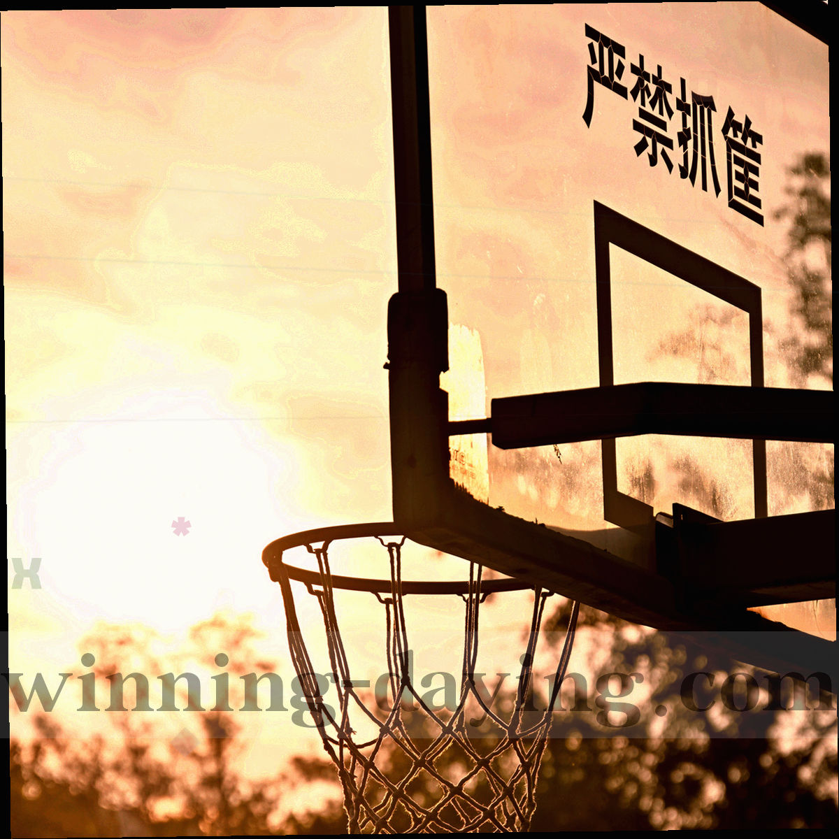 抽象路线图，多个节点由折线连接，节点以灰蓝与琥珀区分不同阶段